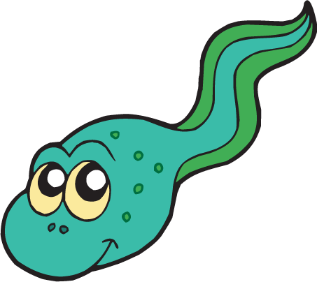 Cartoon Tadpole Images | wallpaperzen.org