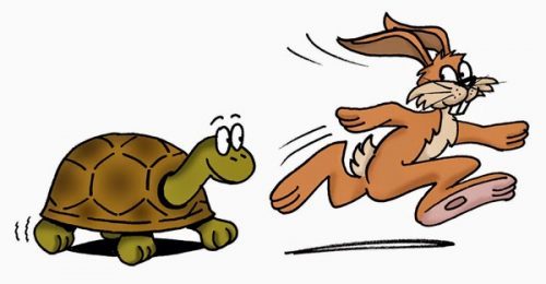 Tortoise And The Hare Clipart at GetDrawings | Free download