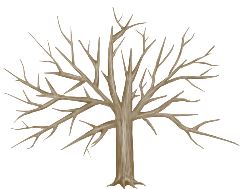 Tree Trunk Clipart At GetDrawings Free Download