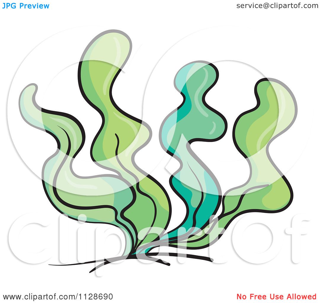 Underwater Plants Clipart at GetDrawings | Free download