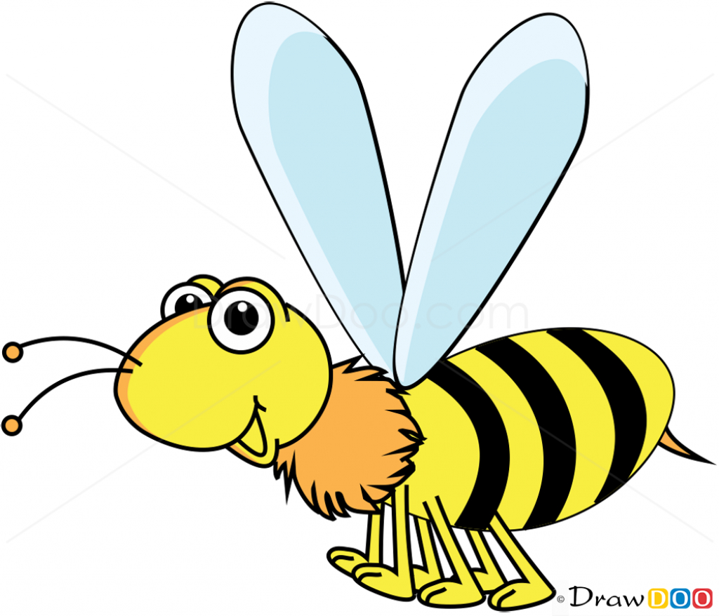 Wasp Clipart at GetDrawings | Free download