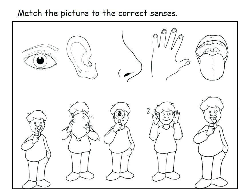 5-senses-coloring-pages-at-getdrawings-free-download