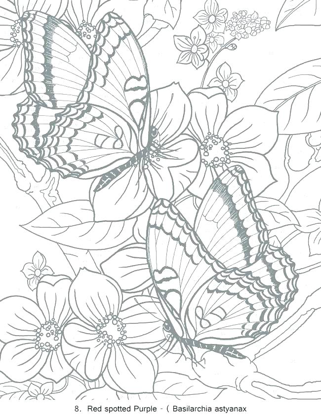 Abstract Butterfly Coloring Pages at GetDrawings | Free download