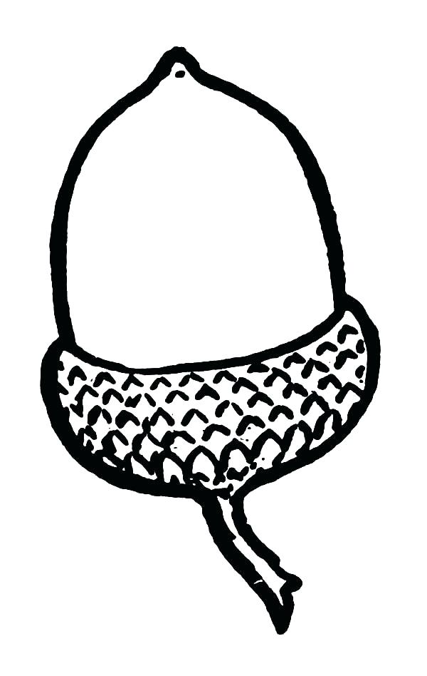 the-best-free-acorn-coloring-page-images-download-from-95-free