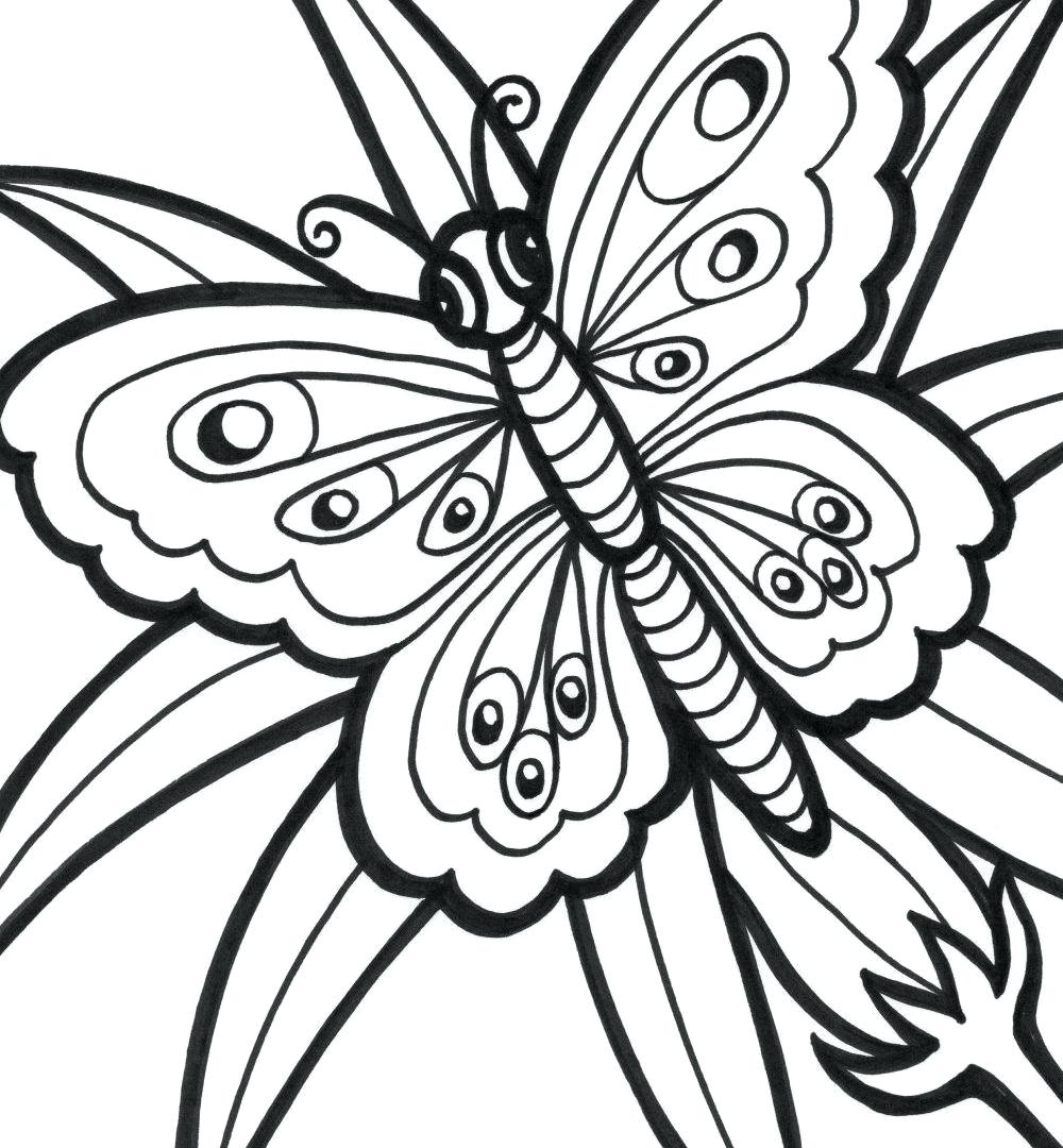 22+ Free Printable Coloring Pages For Adults Easy PNG - Drawer