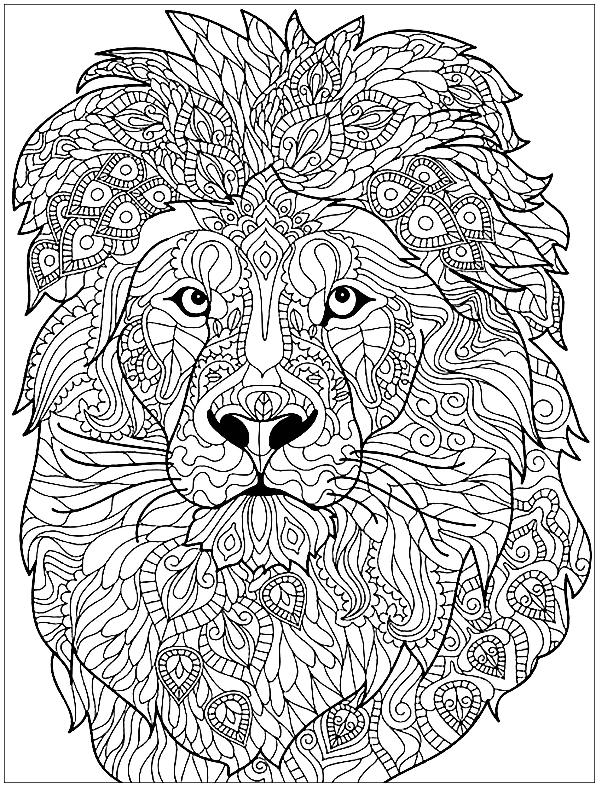 Adult Coloring Pages Lion at GetDrawings | Free download