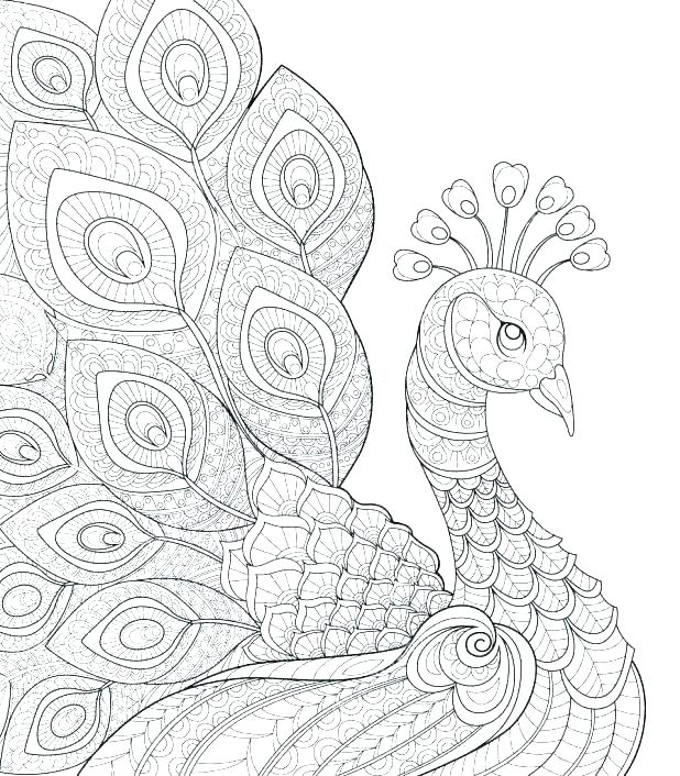 The best free Peacock coloring page images. Download from 663 free