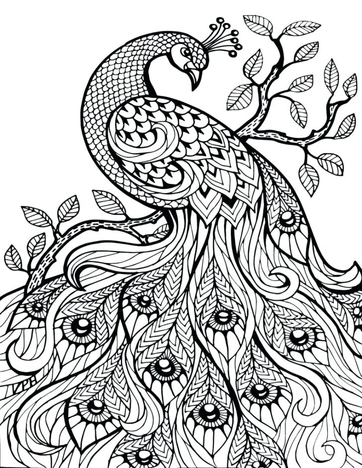 advanced-christmas-coloring-pages-at-getdrawings-free-download