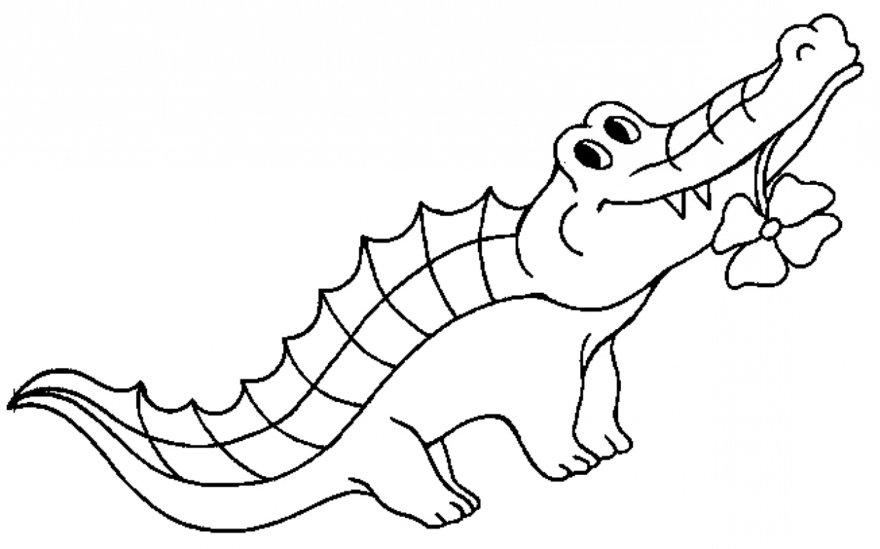 Alligator Printable Coloring Pages at GetDrawings | Free download