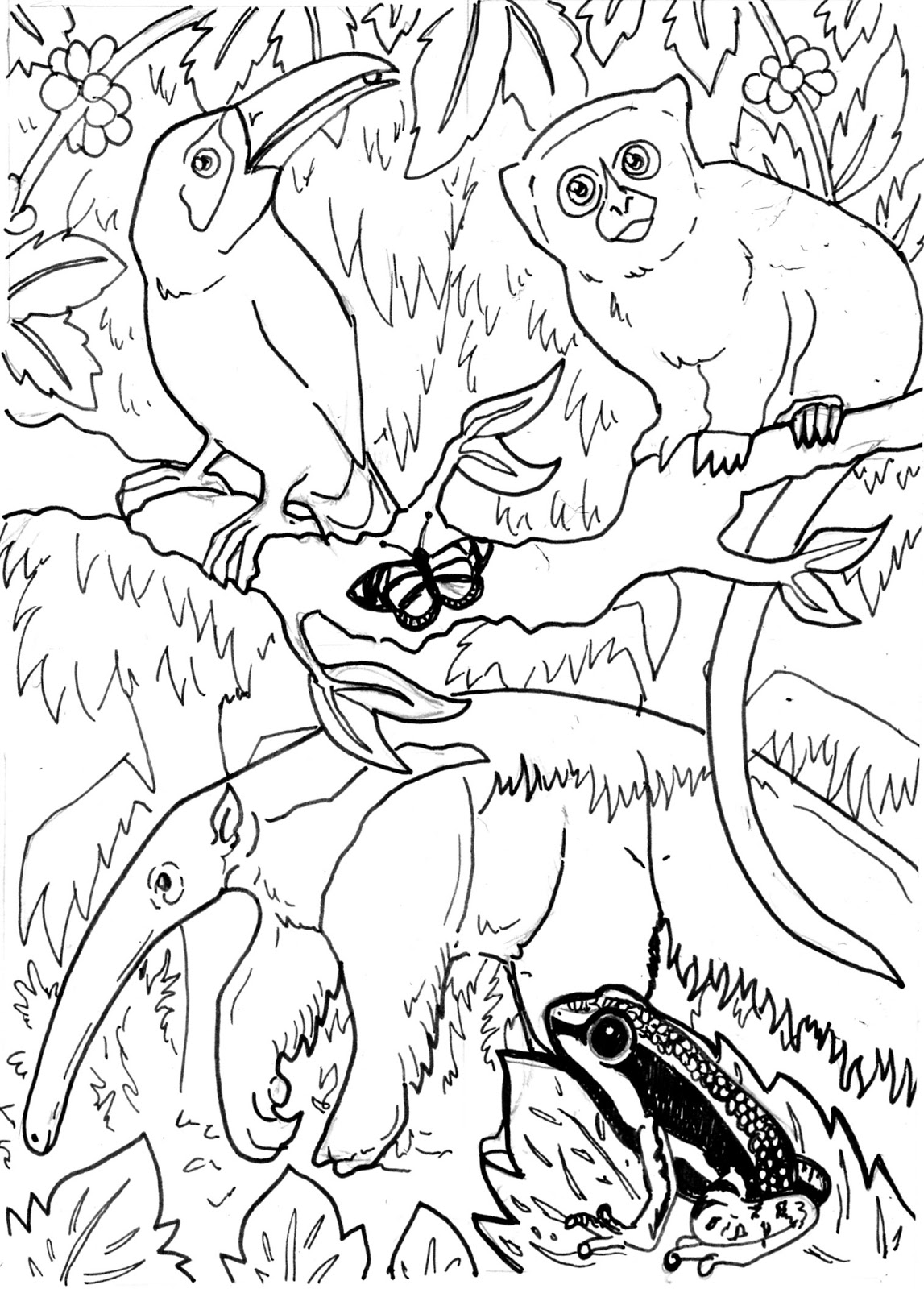 Amazon Rainforest Coloring Pages At GetDrawings Free Download