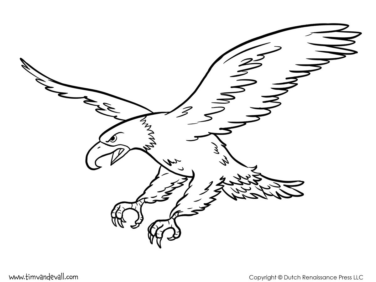 American Eagle Coloring Pages at GetDrawings | Free download