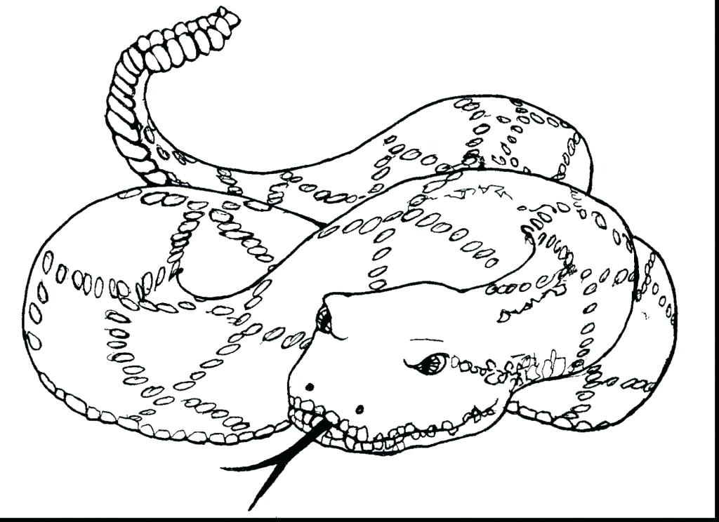 anaconda-coloring-page-at-getdrawings-free-download