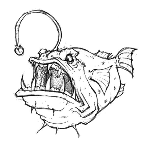 Angler Fish Coloring Page At Getdrawings Free Download