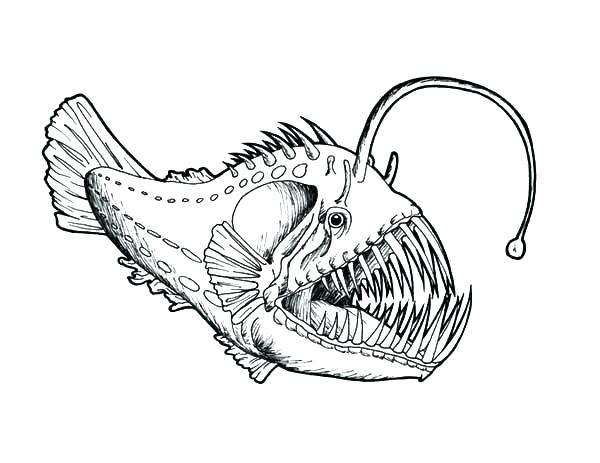 Angler Fish Coloring Page at GetDrawings | Free download