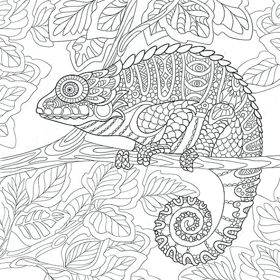 10 Abstract Animal Coloring Pages to Unleash Your Artistic Imagination