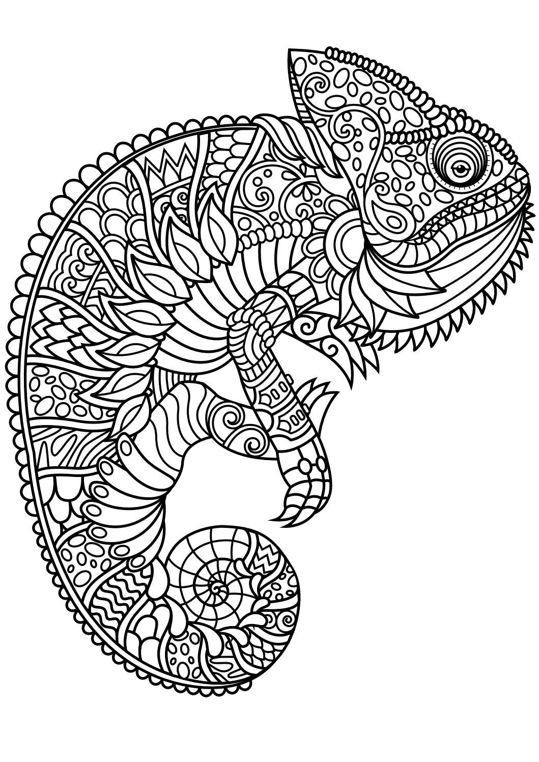 Animal Abstract Coloring Pages at GetDrawings | Free download