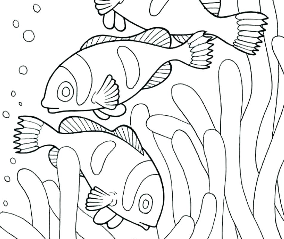 Animal Habitat Coloring Pages at GetDrawings | Free download
