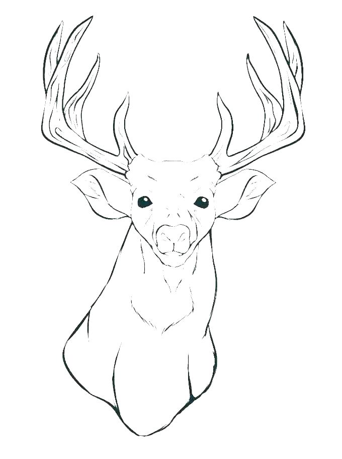 Animal Head Coloring Pages at GetDrawings | Free download