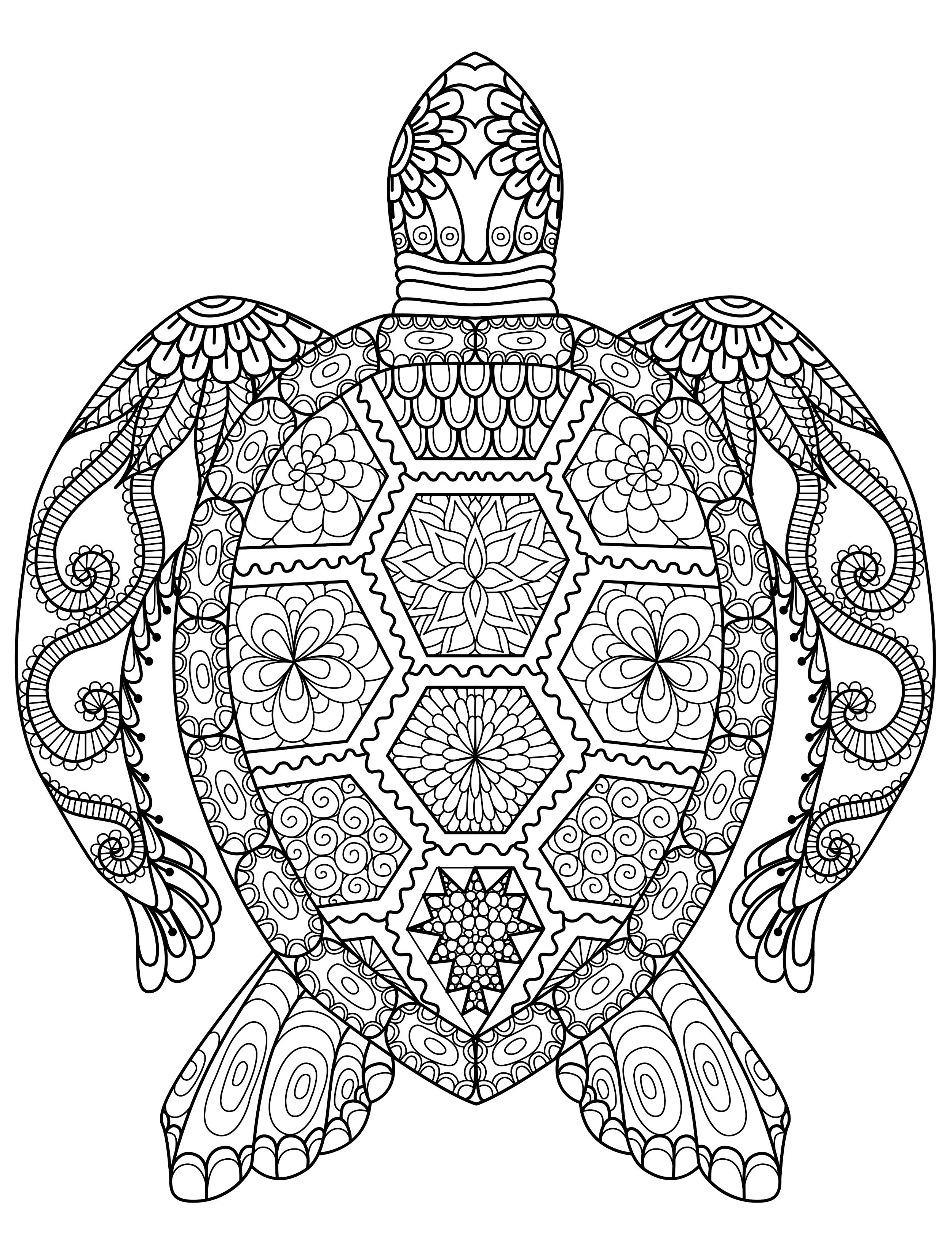 Animal Kingdom Coloring Pages at GetDrawings | Free download