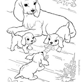 Animals And Their Babies Coloring Pages at GetDrawings | Free download