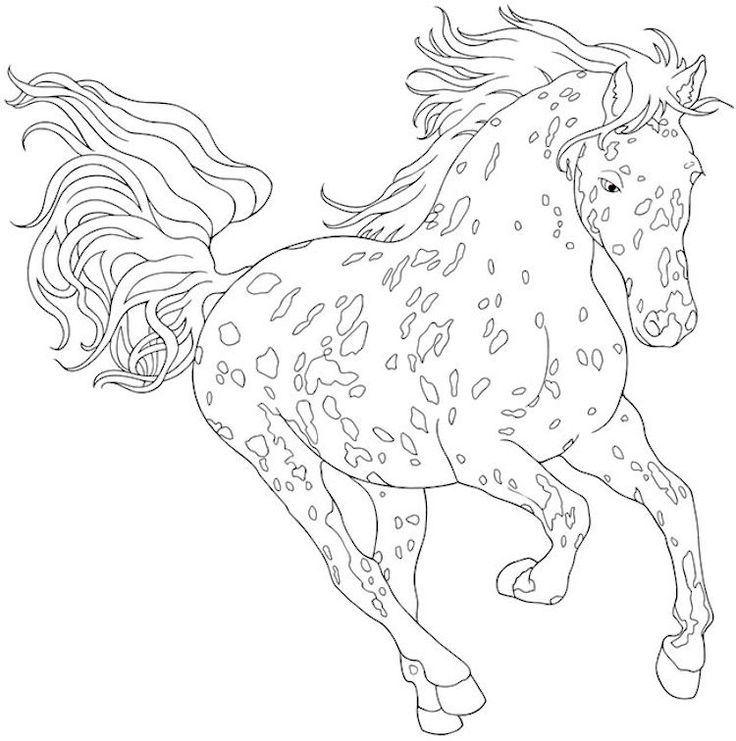 The best free Dementia coloring page images. Download from 19 free