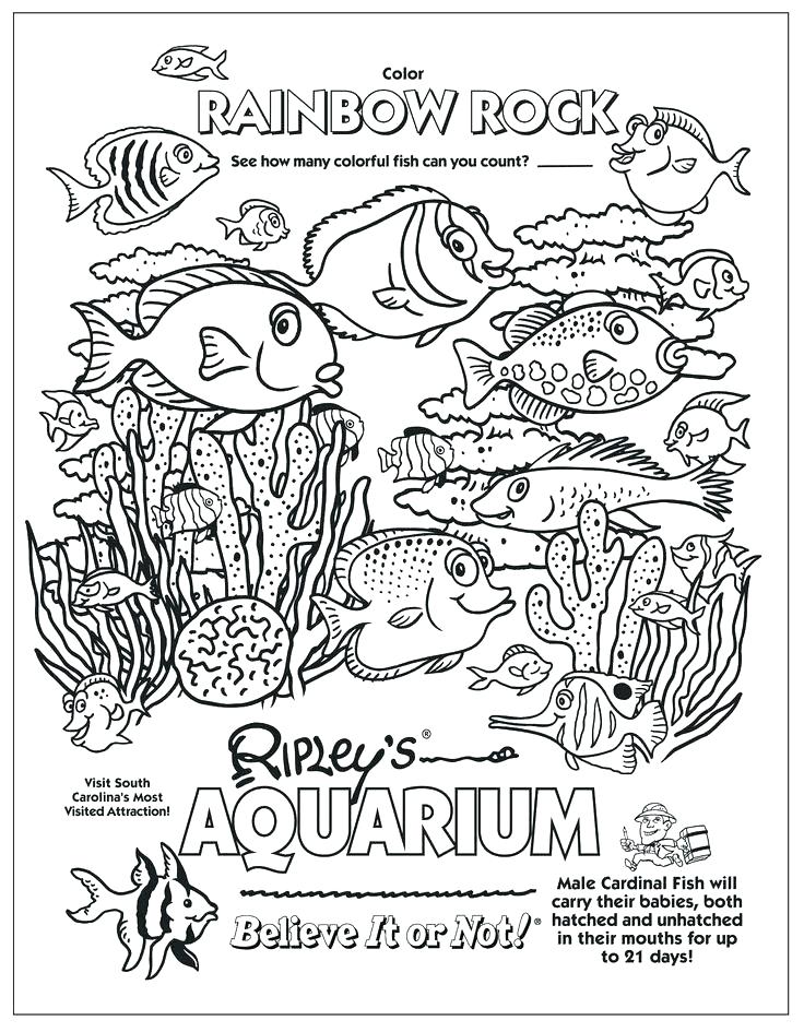 Aquarium Coloring Pages at GetDrawings Free download