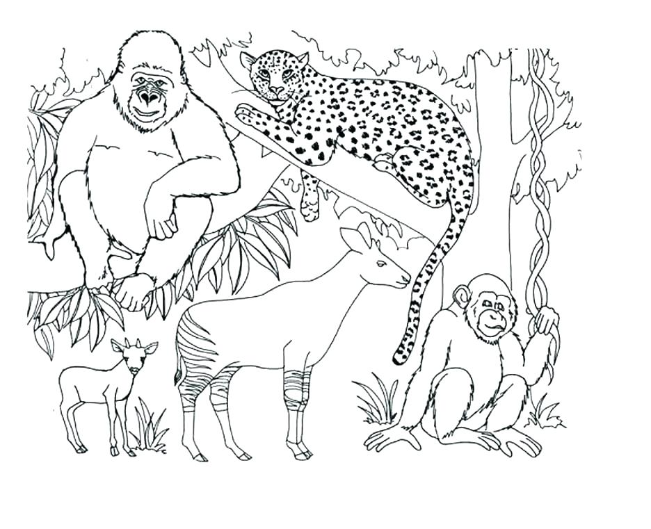 Arctic Animals Coloring Pages For Preschoolers at GetDrawings | Free