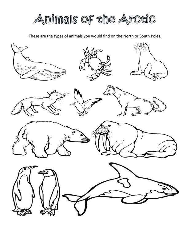 Arctic Animals Printables