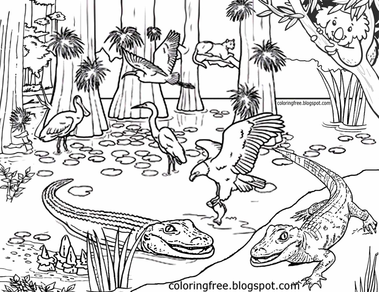 Australia Coloring Pages at GetDrawings | Free download