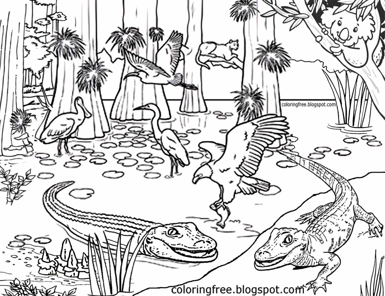 Australia Coloring Pages At GetDrawings Free Download