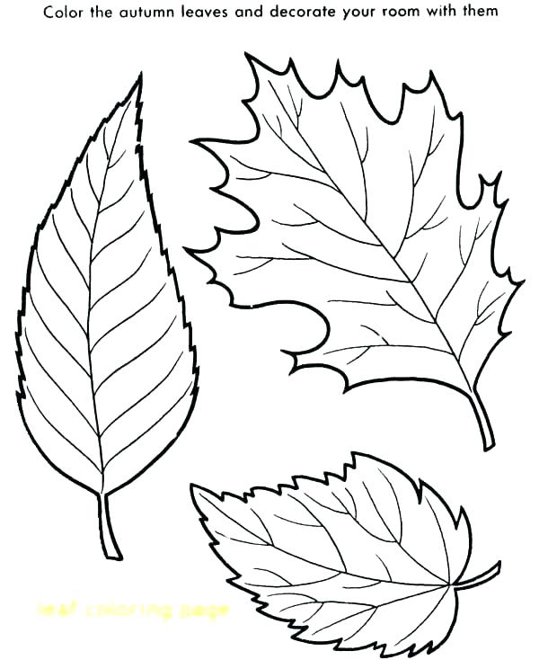 Coloring Pages Autumn Leaves / Fall Leaves Coloring Pages Fall Coloring