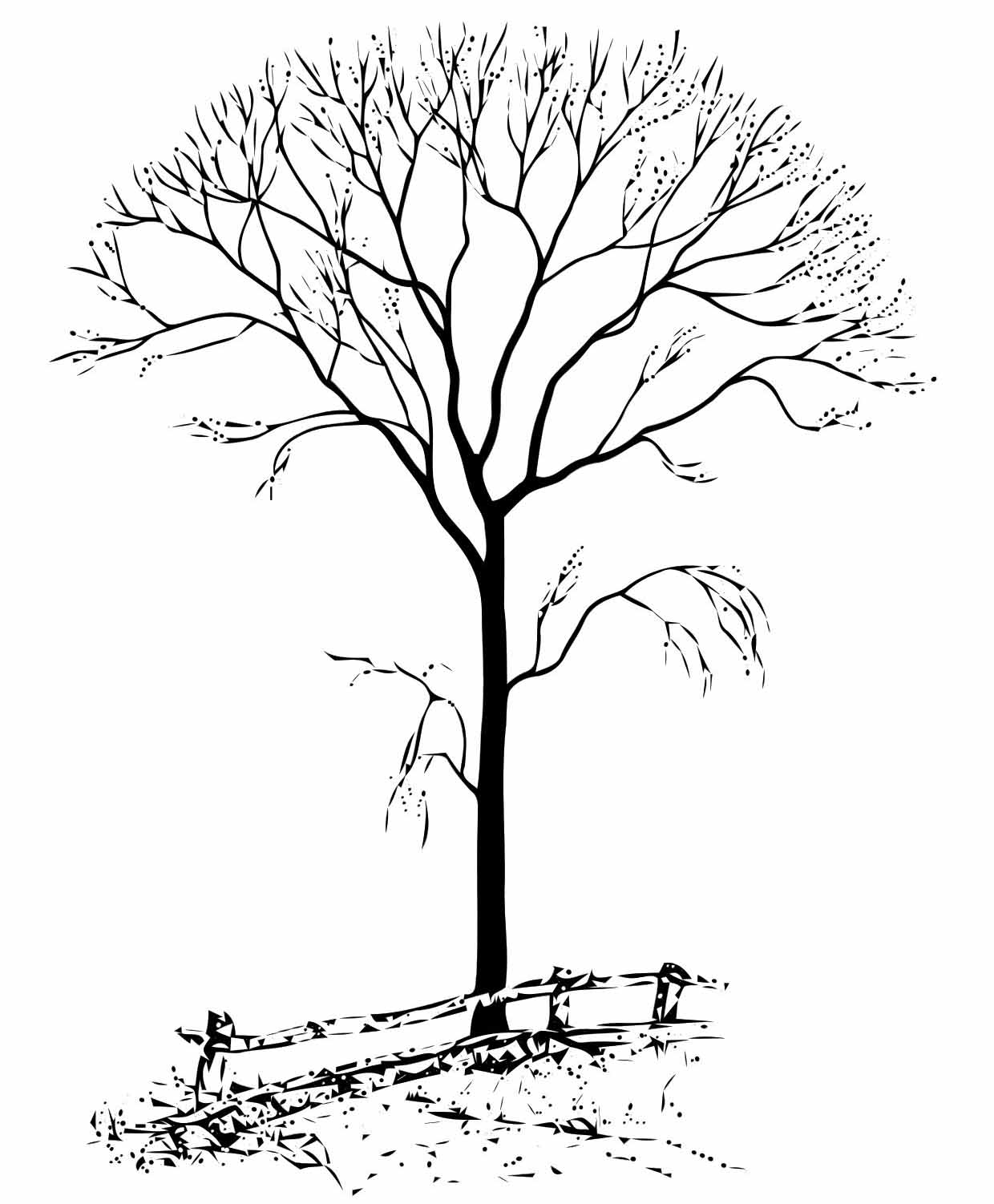 Autumn Tree Coloring Pages at GetDrawings | Free download