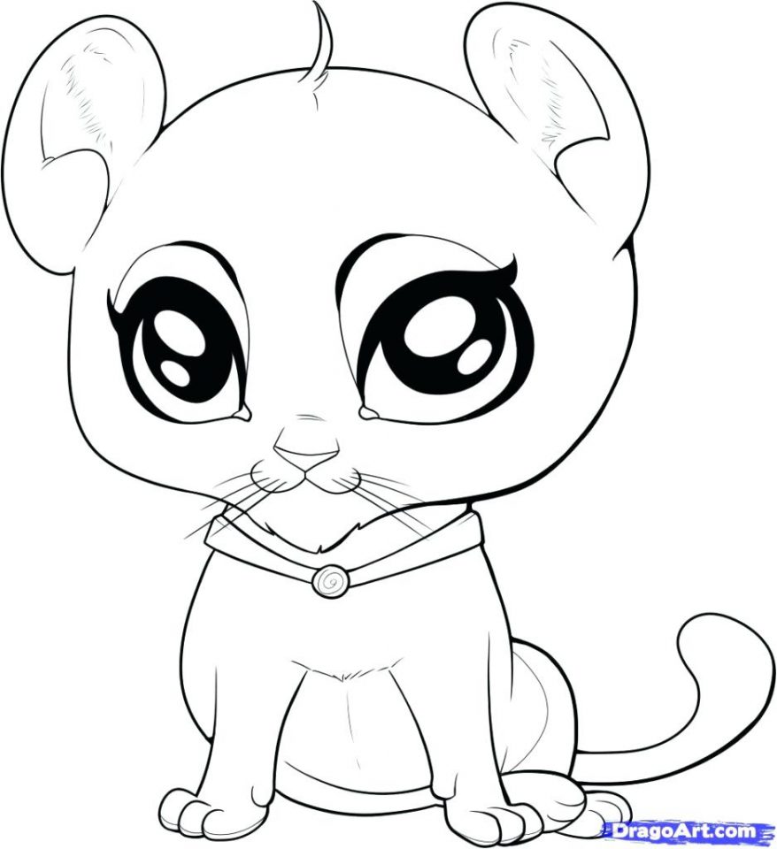 Baby Animal Coloring Pages at GetDrawings | Free download
