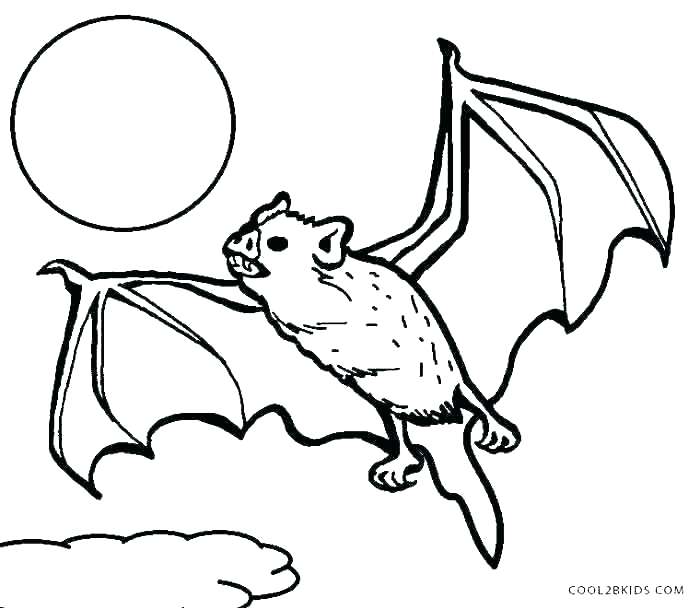 Baby Bat Coloring Pages at GetDrawings | Free download