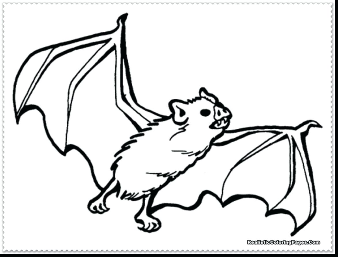 Baby Bat Coloring Pages At GetDrawings | Free Download