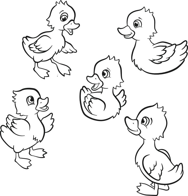 Baby Duckling Coloring Pages at GetDrawings | Free download