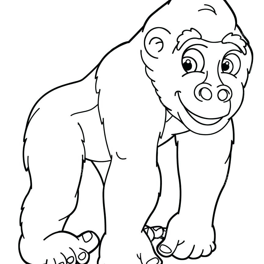 baby-gorilla-coloring-pages-at-getdrawings-free-download