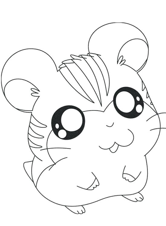 Baby Hamster Coloring Pages at GetDrawings | Free download