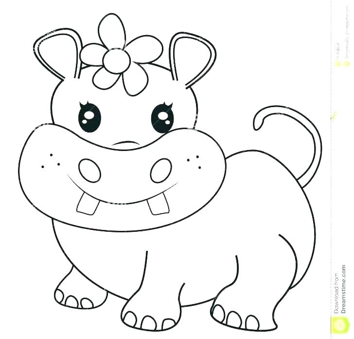 Baby Hippo Coloring Pages At Getdrawings Free Download