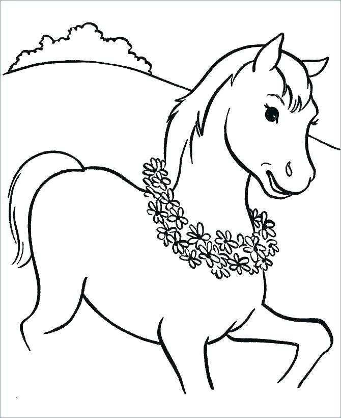Baby Horse Drawing at GetDrawings | Free download