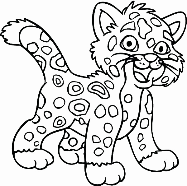 Baby Jaguar Coloring Pages at GetDrawings Free download