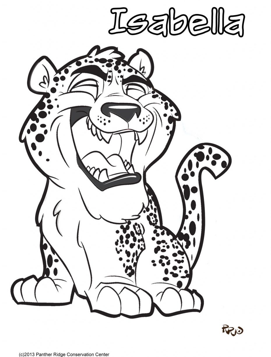 Baby Jaguar Coloring Pages at GetDrawings | Free download