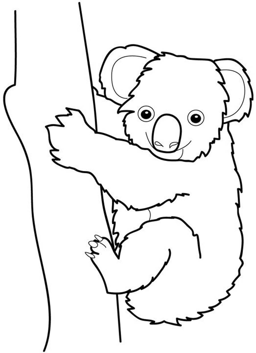 top-cute-koala-coloring-pages-for-kids-most-complete-color-mail