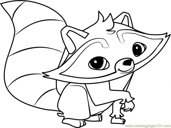 Baby Raccoon Coloring Pages at GetDrawings | Free download