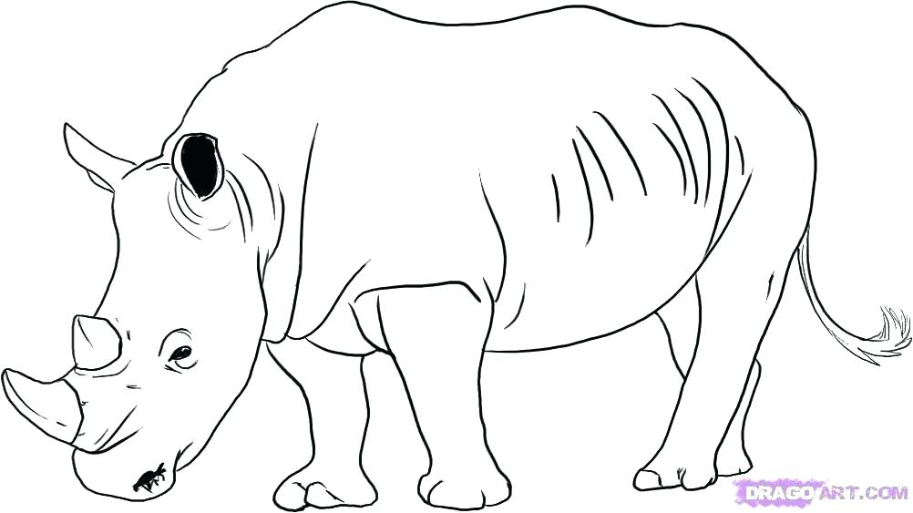 Baby Rhino Coloring Page at GetDrawings | Free download