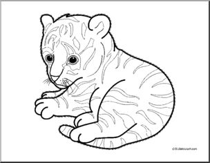 Baby Tiger Coloring Pages at GetDrawings | Free download