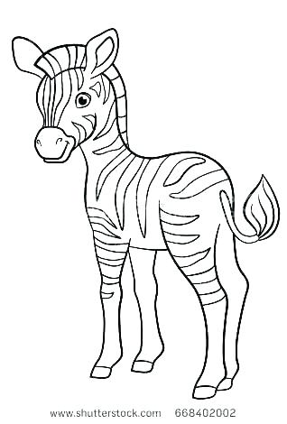 Baby Zebra Coloring Pages at GetDrawings | Free download