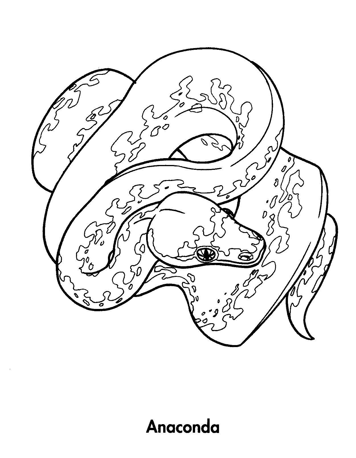 Раскраска змеи питоны