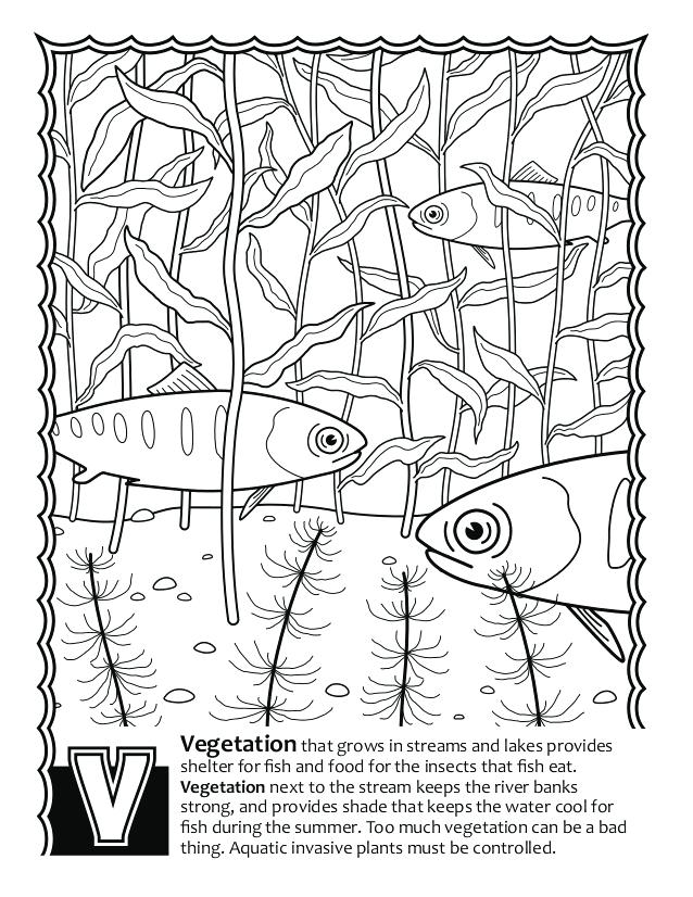 295 Animal Marine Biology Coloring Pages 