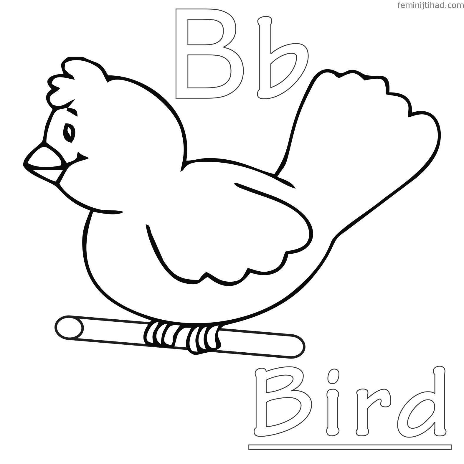 bird colouring pages